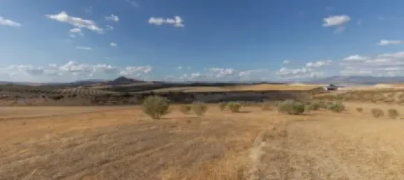  Land in Granada, Spain No. 175261 3