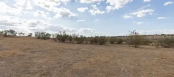  Land in Granada, Spain No. 175261 14