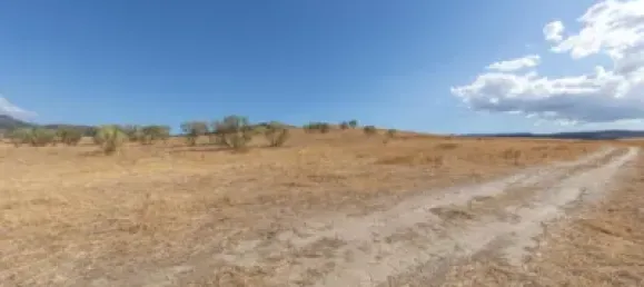  Land in Granada, Spain No. 175261 22