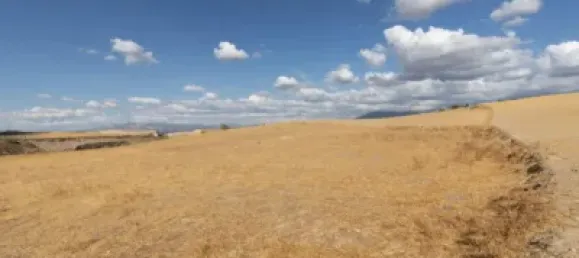  Land in Granada, Spain No. 175261 2