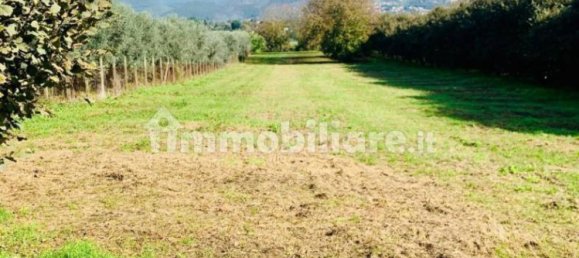 Casa de 2 divisões em Zagarolo, Italy N.º 207422 8