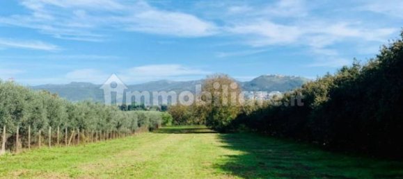 Casa de 2 divisões em Zagarolo, Italy N.º 207422 7