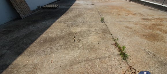 1280m² Warehouse in Gorla Maggiore, Italy No. 73671 5