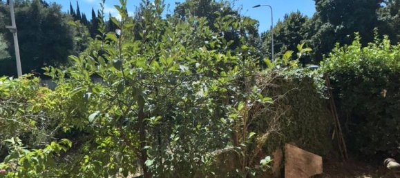 16 rooms Villa in Rufina, Italy No. 280294 23