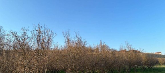 Terreno en Roddi, Italy 90000 m² No. 40109 4