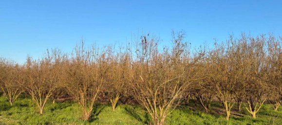 Terreno en Roddi, Italy 90000 m² No. 40109 3