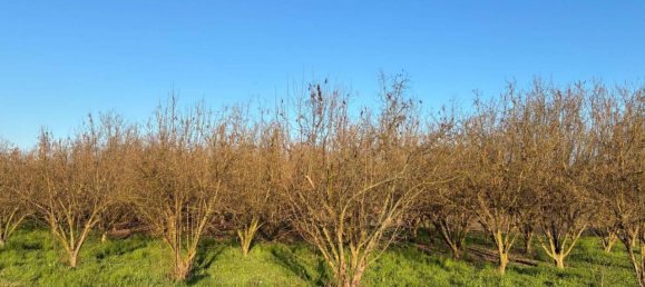 Terreno en Roddi, Italy 90000 m² No. 40109 2