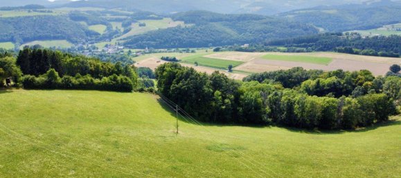 Grundstück in Schwarzenbach, Austria 60053m², Nr. 222746 8