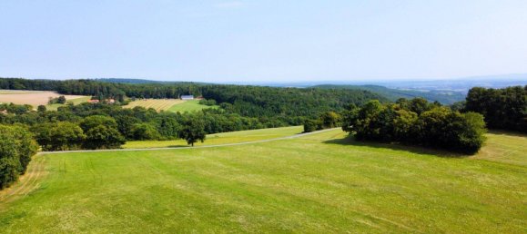 Grundstück in Schwarzenbach, Austria 60053m², Nr. 222746 14