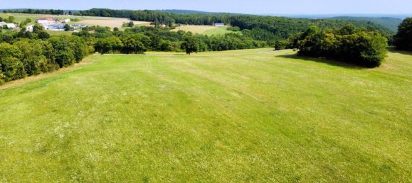 Grundstück in Schwarzenbach, Austria 60053m², Nr. 222746 11