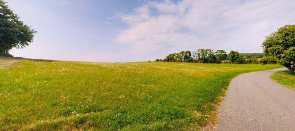 Grundstück in Schwarzenbach, Austria 60053m², Nr. 222746 13