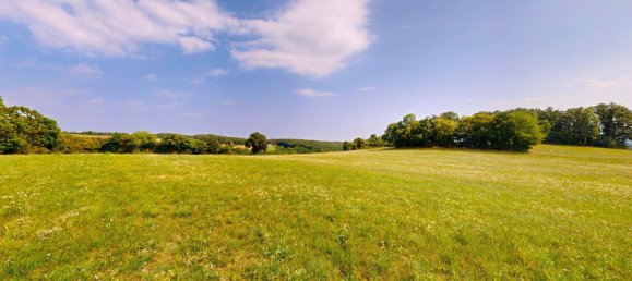 Grundstück in Schwarzenbach, Austria 60053m², Nr. 222746 7