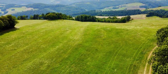 Grundstück in Schwarzenbach, Austria 60053m², Nr. 222746 3