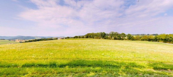 Grundstück in Schwarzenbach, Austria 60053m², Nr. 222746 5