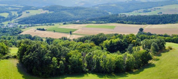 Grundstück in Schwarzenbach, Austria 60053m², Nr. 222746 9