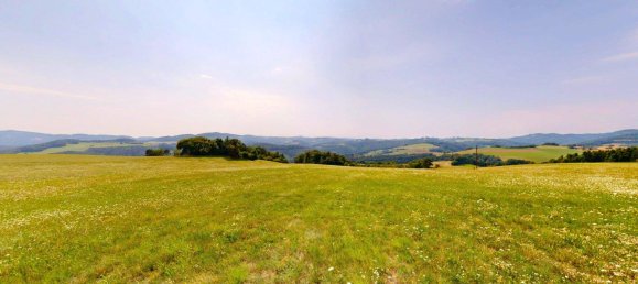 Grundstück in Schwarzenbach, Austria 60053m², Nr. 222746 6