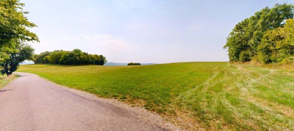 Grundstück in Schwarzenbach, Austria 60053m², Nr. 222746 12