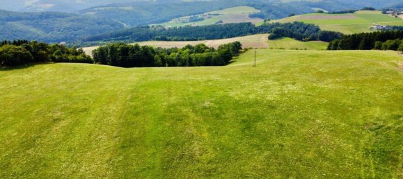 Grundstück in Schwarzenbach, Austria 60053m², Nr. 222746 4