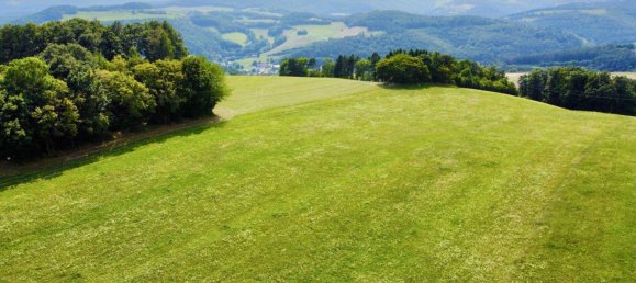 Grundstück in Schwarzenbach, Austria 60053m², Nr. 222746 10