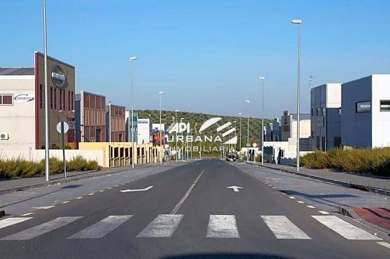  قطعة أرض في Cordoba, Spain 2109متر مربع رقم 221949