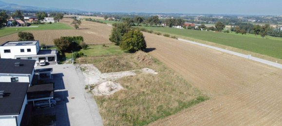 Terrain à Seitenstetten, Austria No. 218356 2