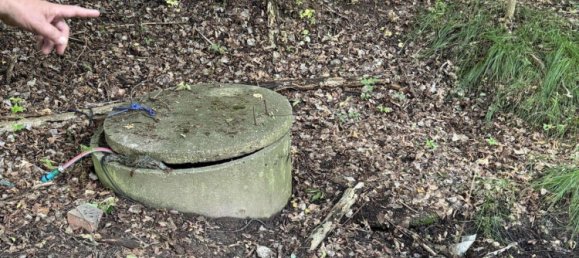 Terreno en Mittelsachsen, Germany No. 226674 4