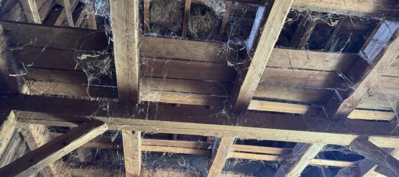 Terreno en Mittelsachsen, Germany No. 226674 2