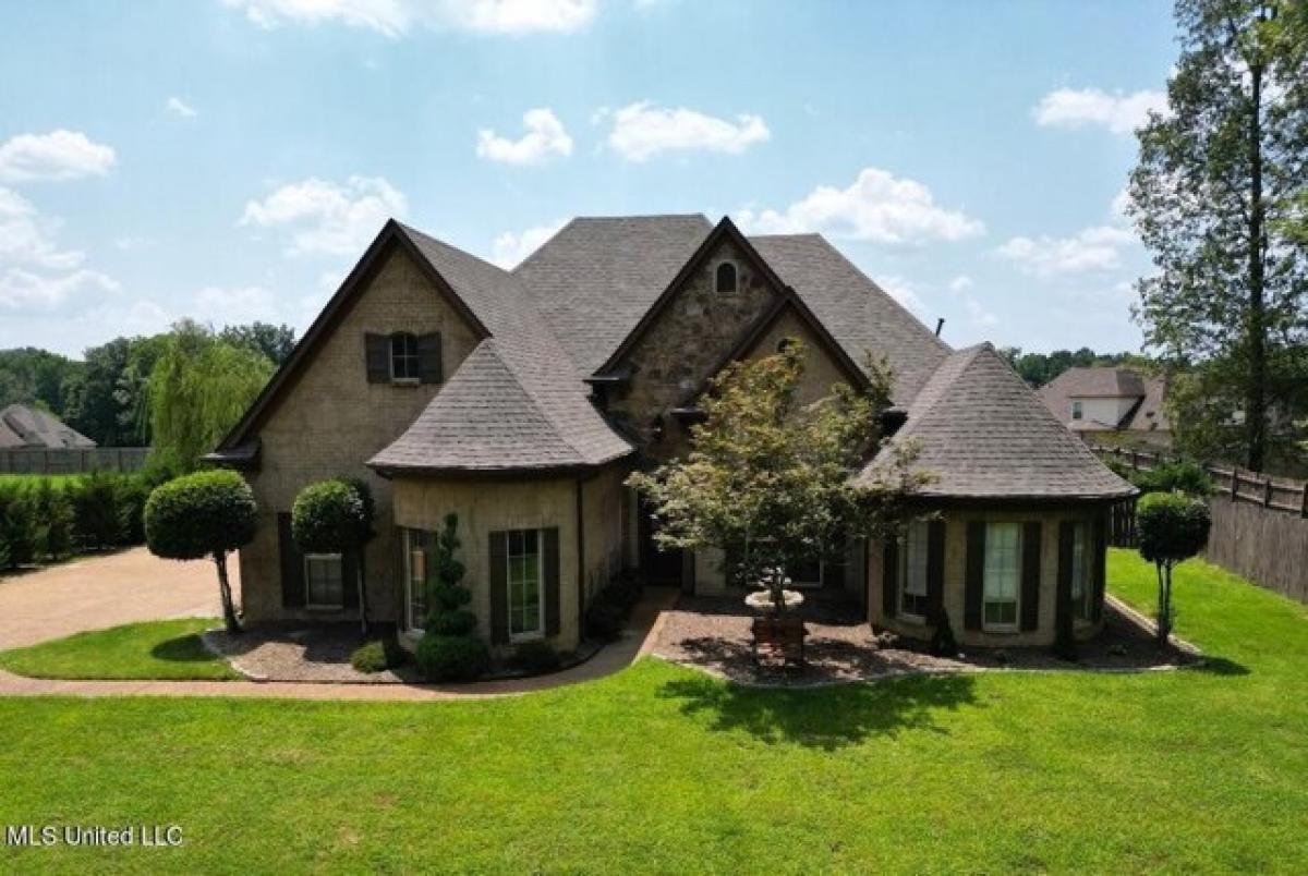 4 bedrooms House in Olive Branch, USA No. 414086