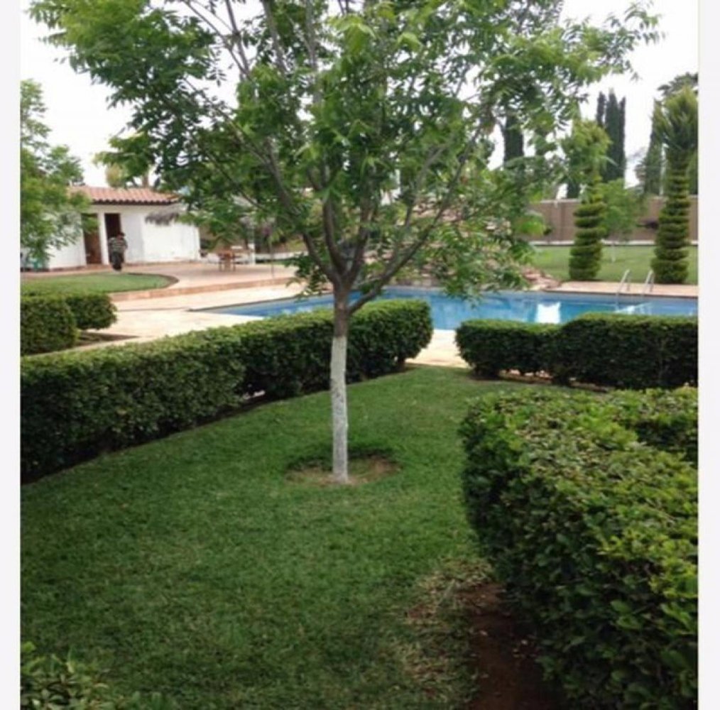 3 Schlafzimmer Haus in Playa Vicente, Mexico, Nr. 161574