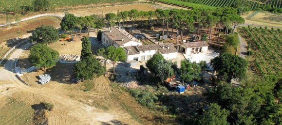 15 rooms Villa in Faenza, Italy No. 280396 14