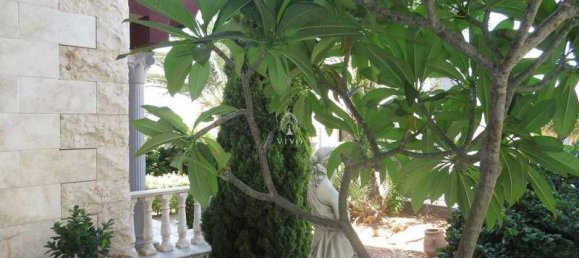 5 Schlafzimmer Villa in Kolossi, Cyprus, Nr. 19122 8