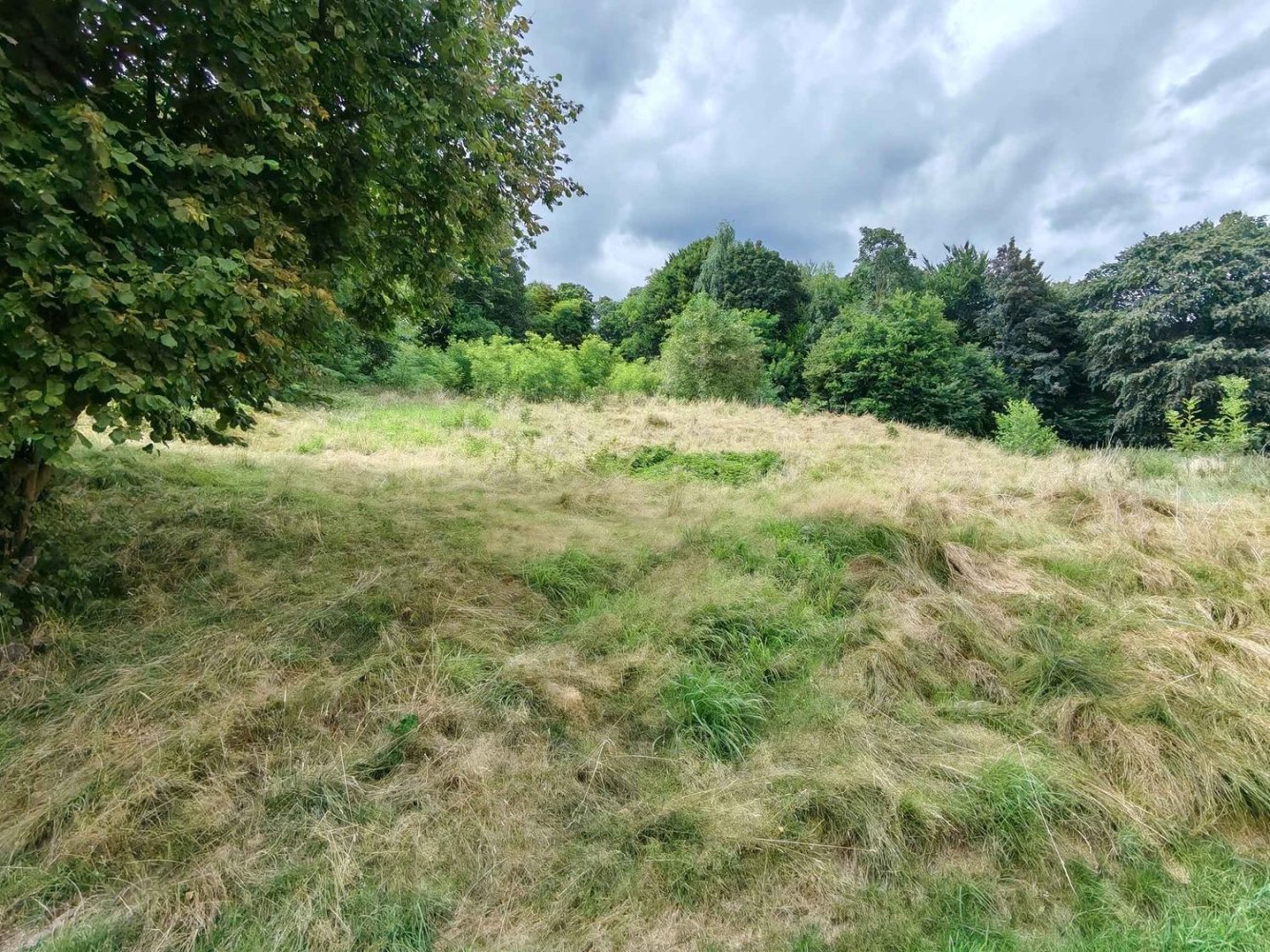 6500m² Land in Pollone, Italy No. 258346