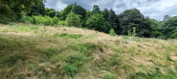 6500m² Land in Pollone, Italy No. 258346 2