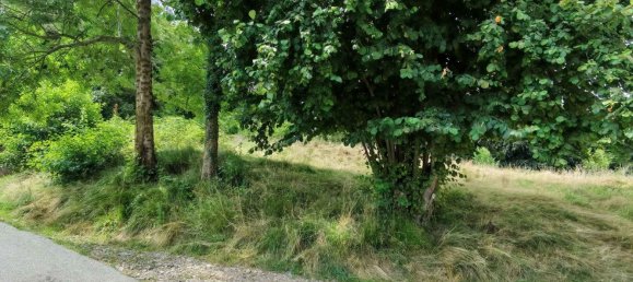 6500m² Land in Pollone, Italy No. 258346 3