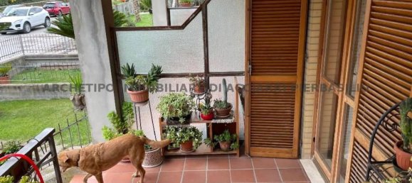 5 bedrooms Villa in Cupra Marittima, Italy No. 80740 15