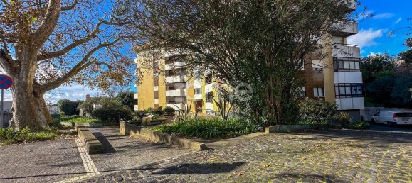  عقار تجاري في Ponta Delgada, Portugal 1000متر مربع رقم 51178 39