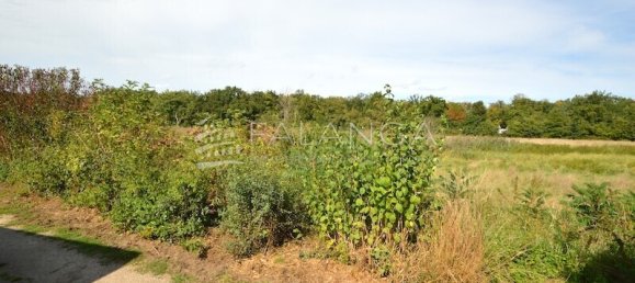 5-Zimmer Bungalow in Morfelden-Walldorf, Germany, Nr. 287474 2