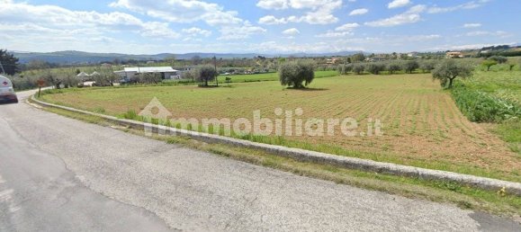 Grundstück in Giulianova, Italy 25000m², Nr. 343605 2