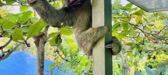 Hotel de 10 divisões em Puntarenas, Costa Rica N.º 1357 2