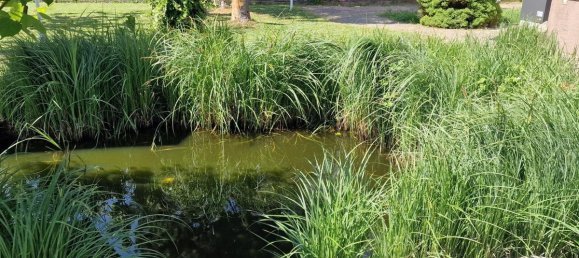 5-Zimmer Haus in Enzesfeld-Lindabrunn, Austria, Nr. 132348 49