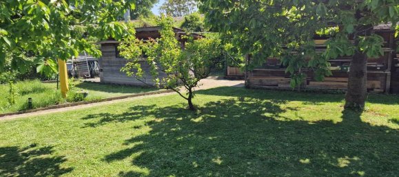 5-Zimmer Haus in Enzesfeld-Lindabrunn, Austria, Nr. 132348 50