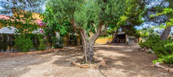 6 Schlafzimmer Haus in Los Montesinos, Spain, Nr. 177151 4