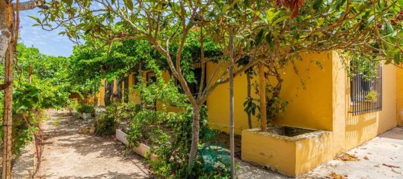 6 Schlafzimmer Haus in Los Montesinos, Spain, Nr. 177151 3