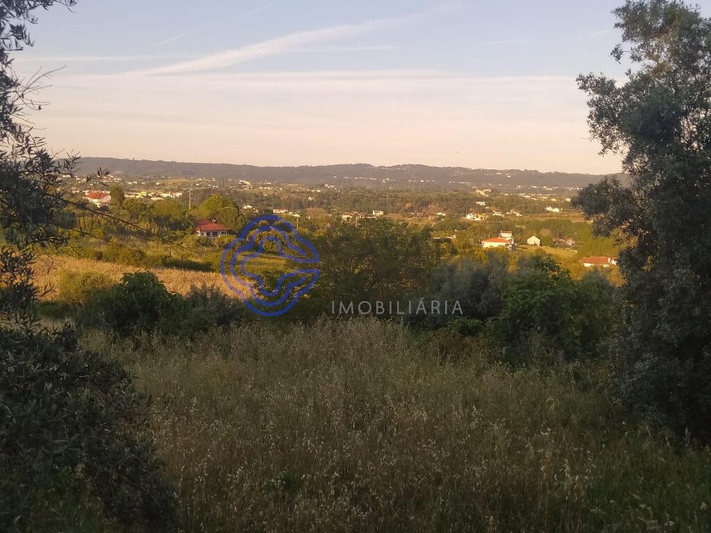 Terrain à Tomar, Portugal 1502m² No. 79597