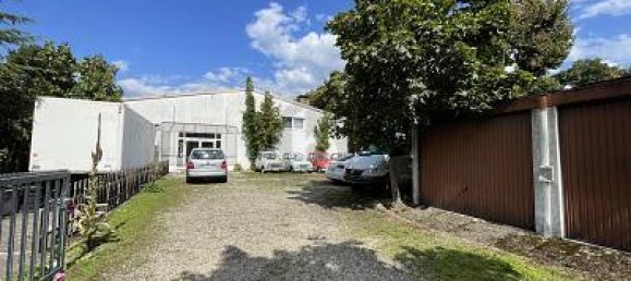 Imóvel comercial de 4 divisões em Freiburg im Breisgau, Germany N.º 273694 2