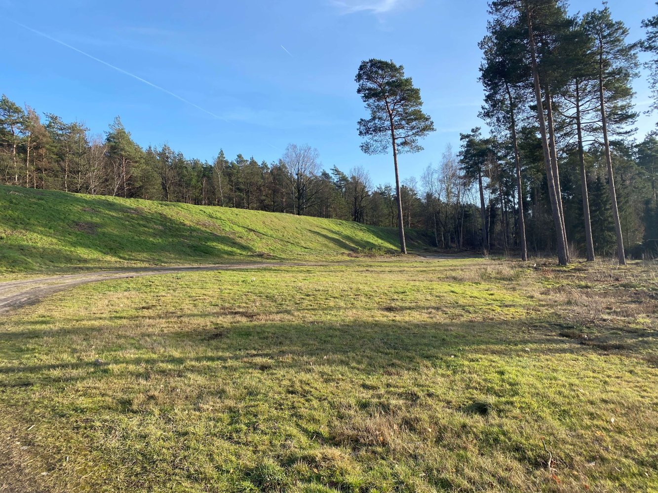  Land in Gifhorn, Germany No. 176704