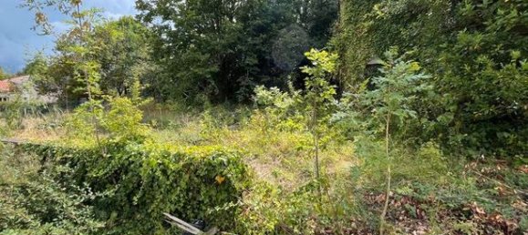 3 Schlafzimmer Haus in Charente, France, Nr. 309636 5