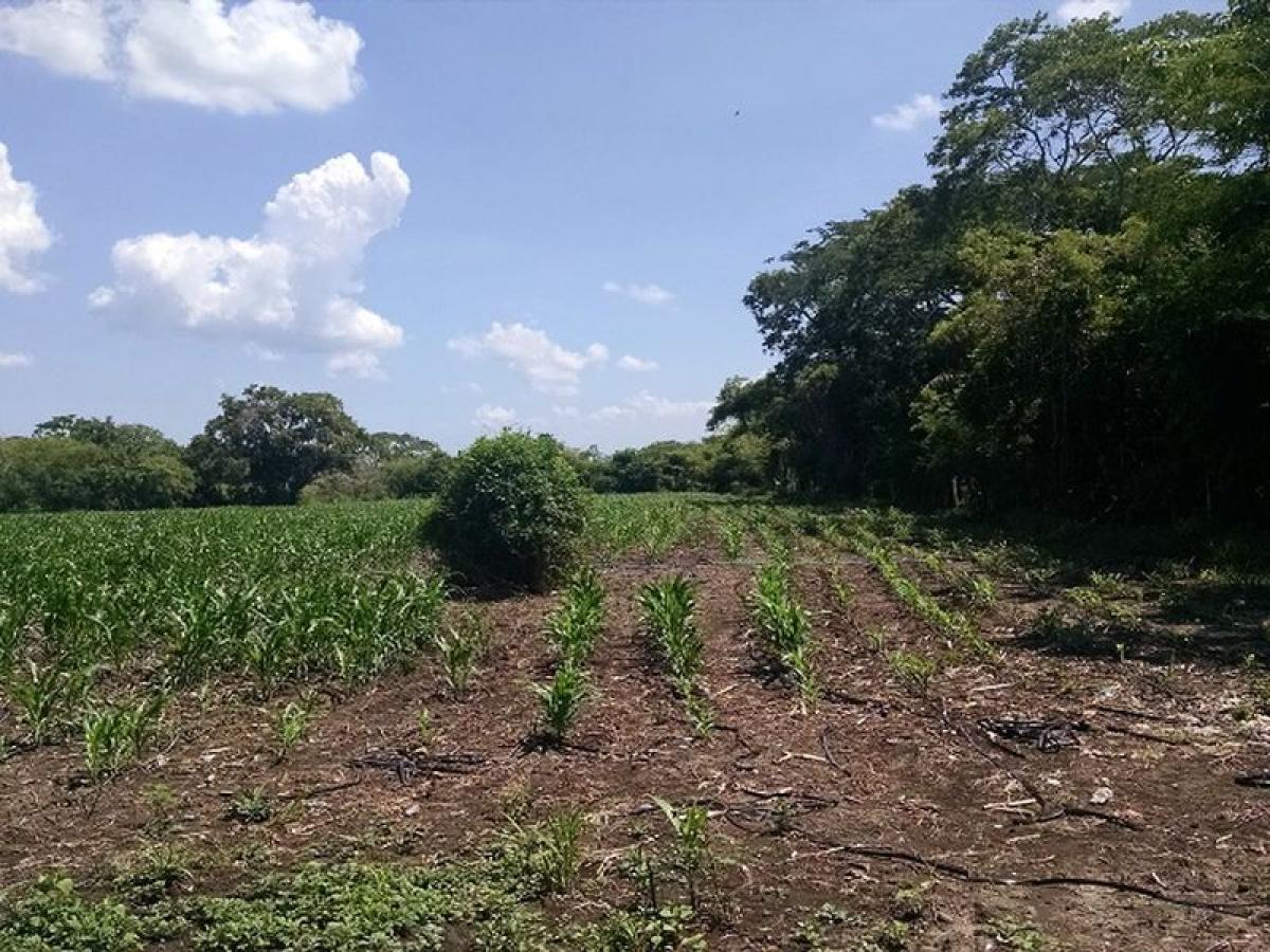 Terrain à Veracruz, Mexico No. 206832