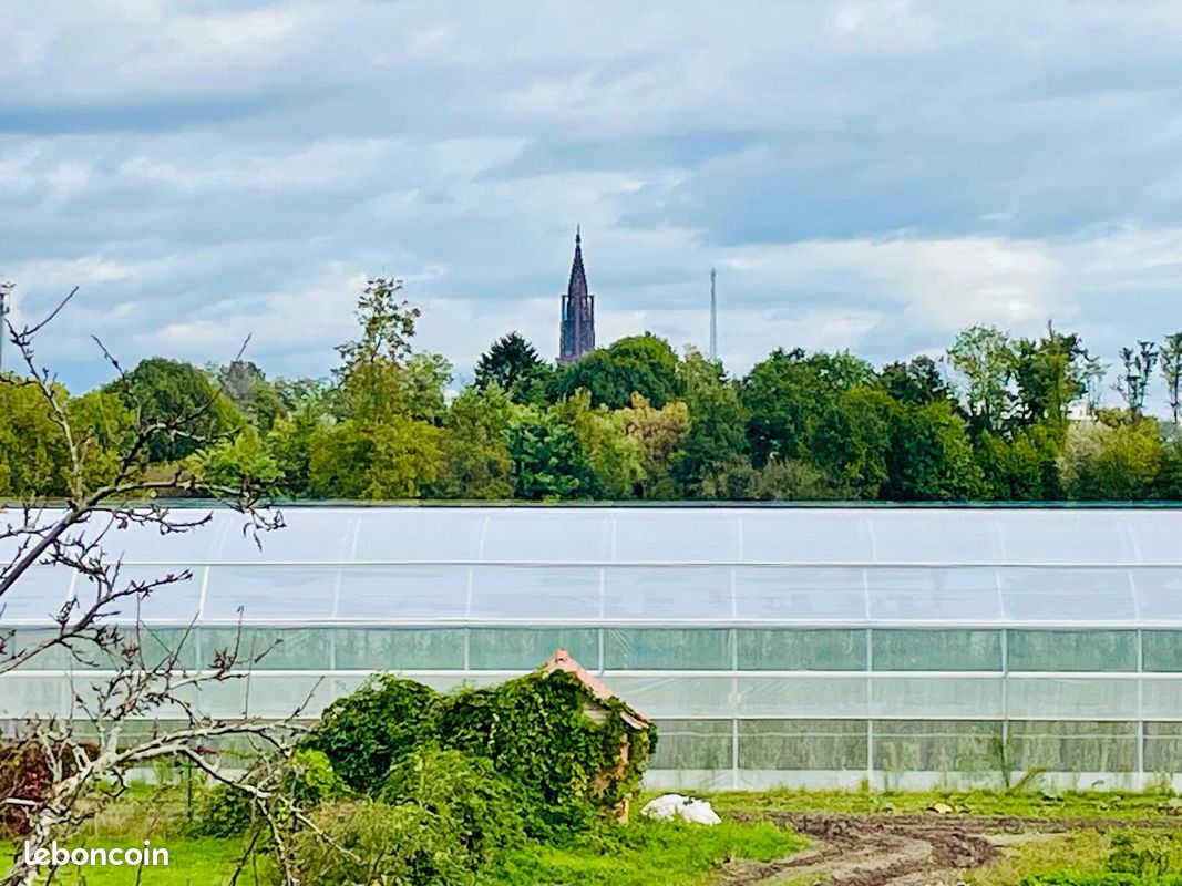 2 غرف نوم شقة في Strasbourg, France رقم 237203