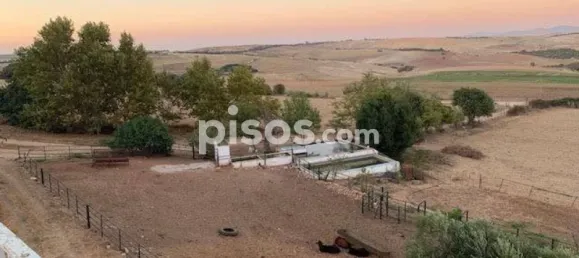 282800m² Land in Leganes, Spain No. 134863 14